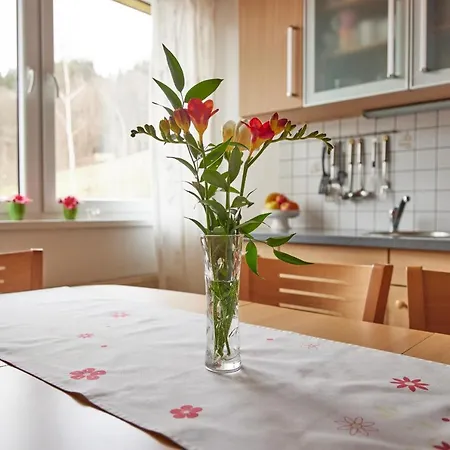 Apartman Svoboda Svoboda nad Úpou Extérieur photo